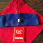 Nermin Čengić: Pioniri maleni…