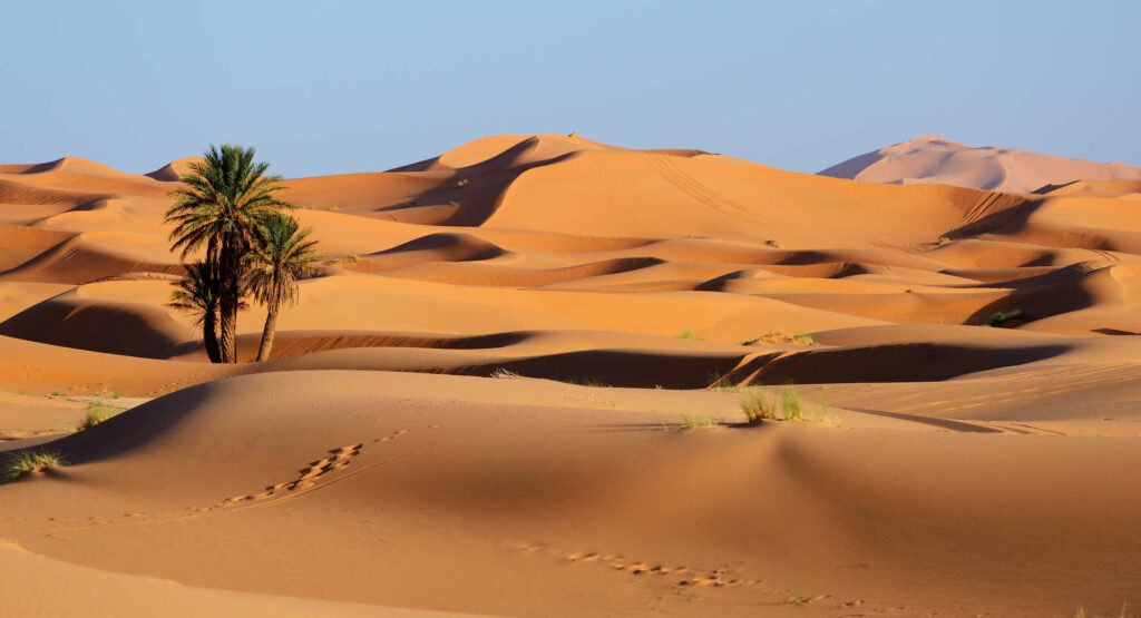 Sahara: Velika pustinja puna tajni i izazova